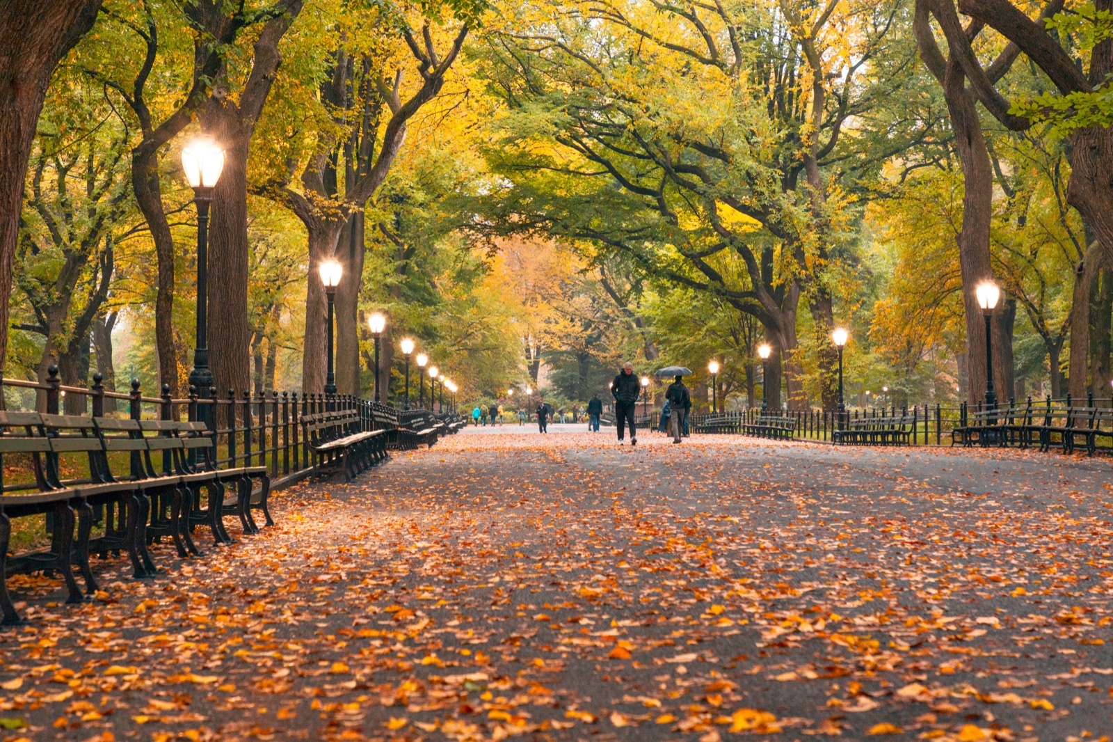 People walking along a tree-lined park path in autumn